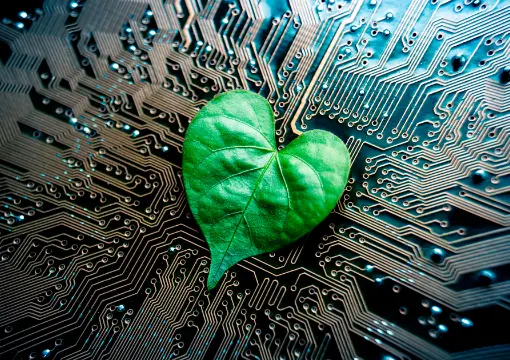 雷火电竞官网案例